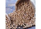 Buy Kabuli Chickpeas Directly from Supplier