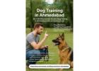 Dog Training in Ahmedabad