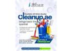 Expert Mattress Cleaning Services in Dubai by Cleanup.ae