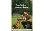 Dog Trainer in Ahmedabad