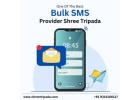 Instant SMS Delivery with Shree Tripada Bulk SMS Solutions