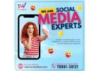 IT Service Provider in Chandigarh | Techwalk Solutions
