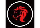 DNP Marketing Ltd