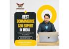 Best Ecommerce SEO Expert in India – Increase Conversions with AnandKJha