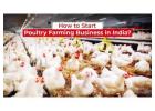 Poultry Farming in India and its Advantages