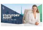 Statutory Audit Services in the UAE - A Complete Guide