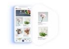 Custom Flower Delivery App Development Services for Your Floral Business