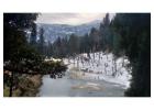 Looking for Peace, Snow & Purpose? Come Trek Kedarkantha with Us