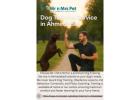 Dog Training Service in Ahmedabad