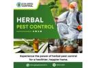 Best Herbal Pest Control Services in Noida
