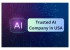 Expert Artificial Intelligence Development Agency USA