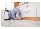 Reliable Exterminator Langley Services for Home and Business