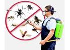 Best Pest Control in Jaipur - USSPestCon Services Pvt Ltd