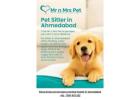 Pet Sitter in Ahmedabad