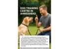 Dog Training Centre in Ahmedabad