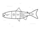 Smarter Seafood Processing Solutions
