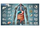 Discover Personalized Care with Gastrointestinal Disease Treatment