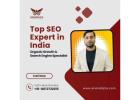 Top SEO Expert in India – Organic Growth & Search Engine Specialist