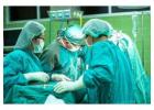 Best Gastroenterologists in Ludhiana for Expert Care  