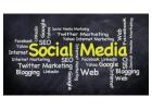 Top SEO Consultants Alaska to Boost Online Visibility