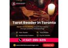 Tarot Reader in Toronto