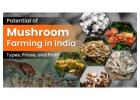The Varieties of Mushrooms and Cultivation in India