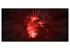 Looking for Vascular Surgery in Gandhinagar?