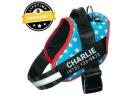 No Pull Harness – Comfortable & Secure for Your Dog