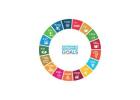 Sustainable Development Goals | In-depth Article 2025