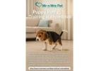 Puppy Potty Training in Ahmedabad