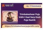  Trimbakeshwar Puja Vidhi | Kaal Sarp Dosh Puja Nashik