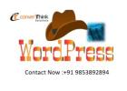 Affordable WordPress Website Design – Boost Your Business Online!