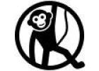 Real Monkey