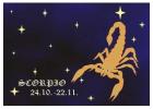 unlocking-the-secrets-of-vrishchik-rashi-what-makes-scorpio-unique |Rashitalk.com
