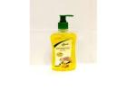 Buy Panchgavya Hand Wash Online: make hands germ free