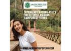 Experience Nature at Its Finest: Best Amazon Rainforest Tours