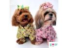 Traditional Dog Clothes for a Paw-some Rakhi Celebration