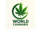 Cannabis Research Store