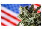 Sour Diesel - Energize Your Day