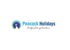 Srinagar Honeymoon Package for Romantic Getaways