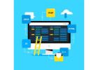 Work with the Best Website Development Company in Delhi for Digital Success