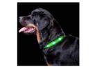 Waterproof LED Dog Collar – Walk Safer at Night