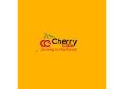 Book 50 Seater Bus Rental for Tours & Events – Lowest Prices | CherryCabs
