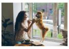 Busy Pet Parent Offers Pet Care for Busy People with Smart Tips and Space-Saving Products