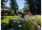 Landscapers Near