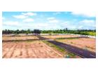 Low Budget Plots in Vrindavan
