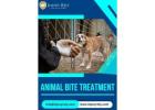 Injury Rely – Your Partner in Animal Bite Treatment