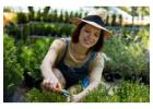 Lawn mowing services hoppers crossing near me cost - I love gardening