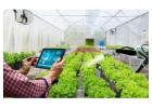 Nursery Management Software