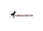Torchlight K9